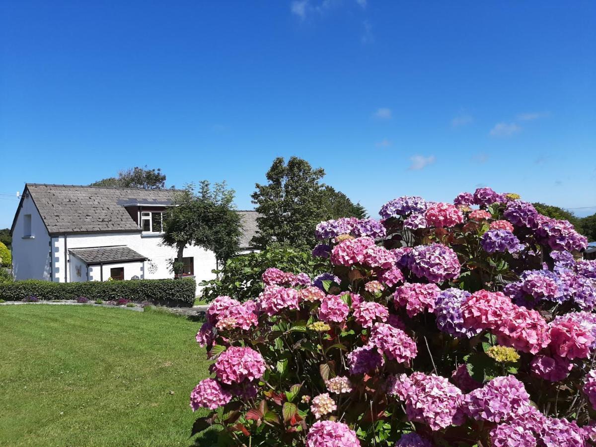 Trenewydd Farm Holiday Cottages Cardigan Exteriör bild
