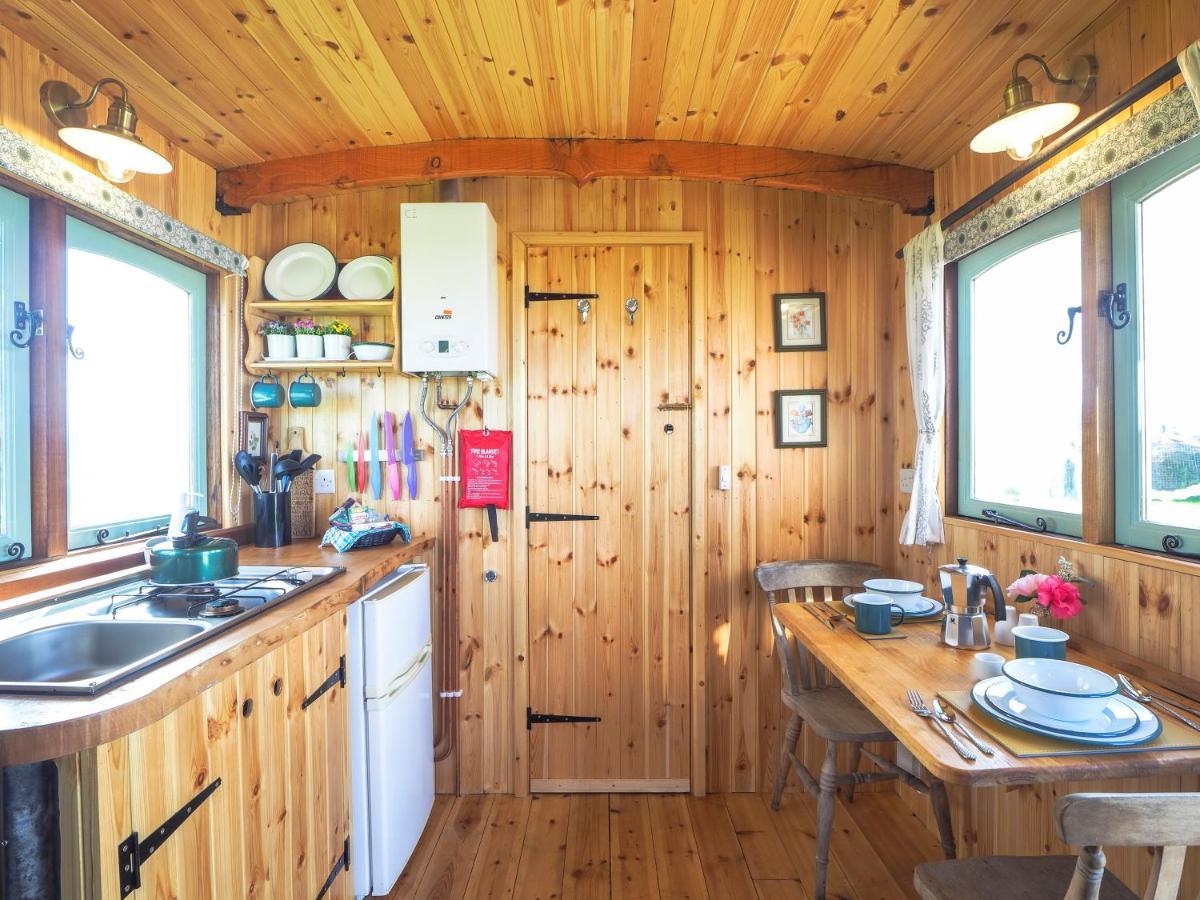 Trenewydd Farm Holiday Cottages Cardigan Exteriör bild