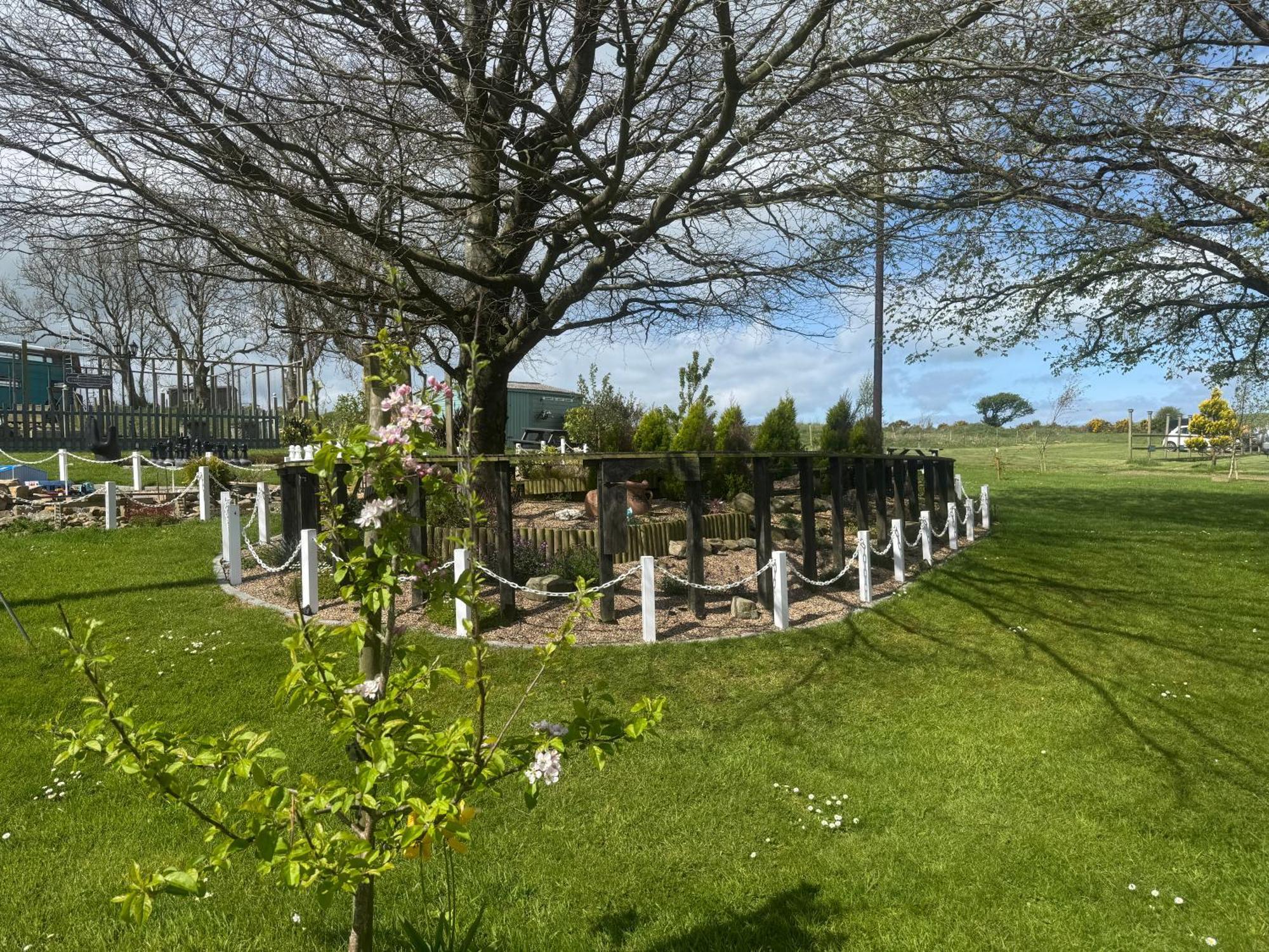 Trenewydd Farm Holiday Cottages Cardigan Exteriör bild