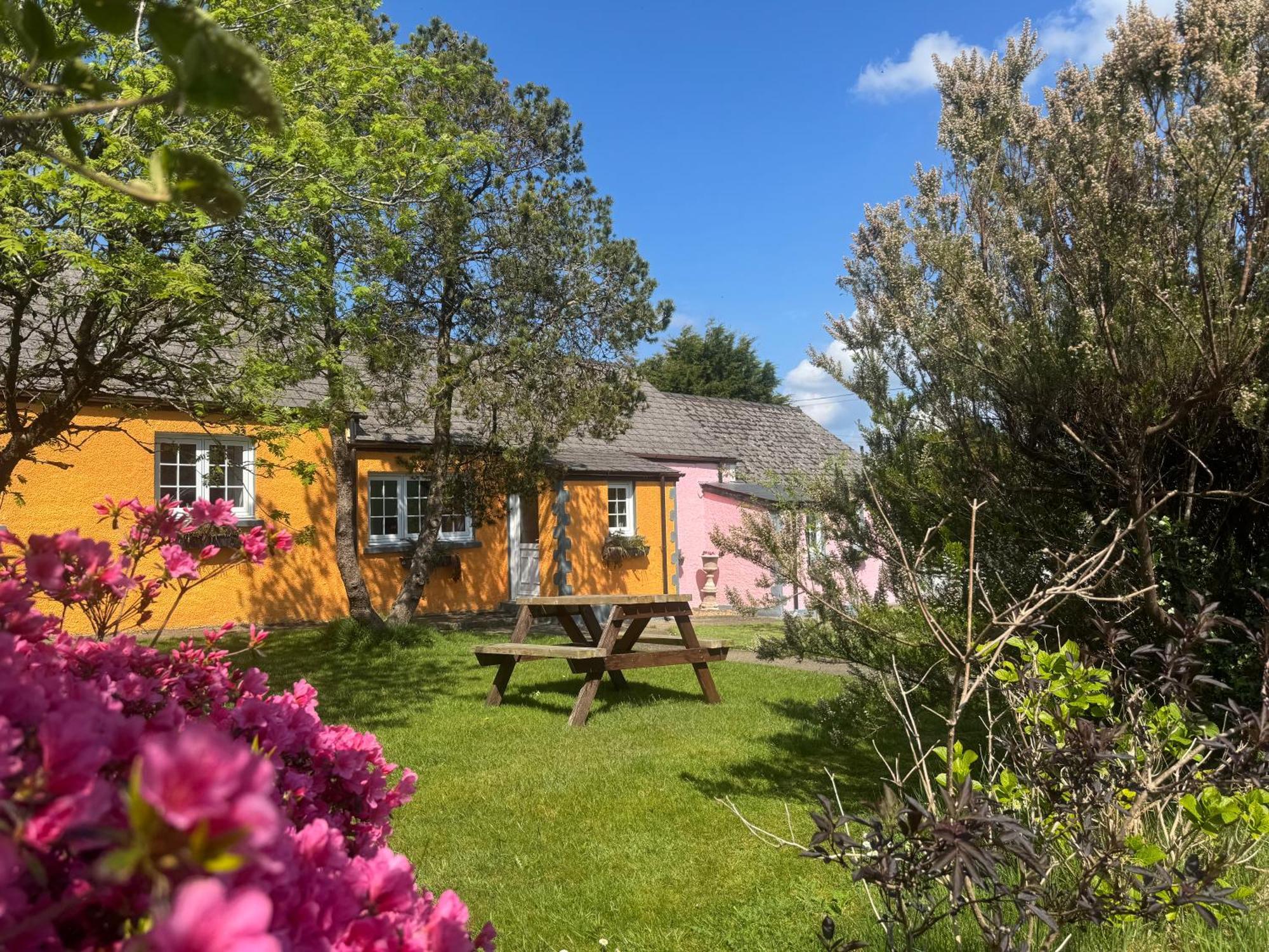 Trenewydd Farm Holiday Cottages Cardigan Exteriör bild